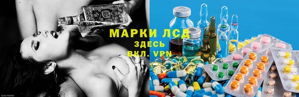 индика Алексин