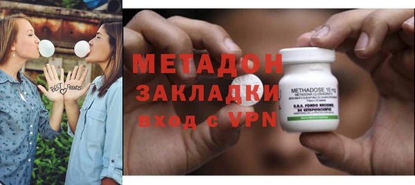 индика Алексин
