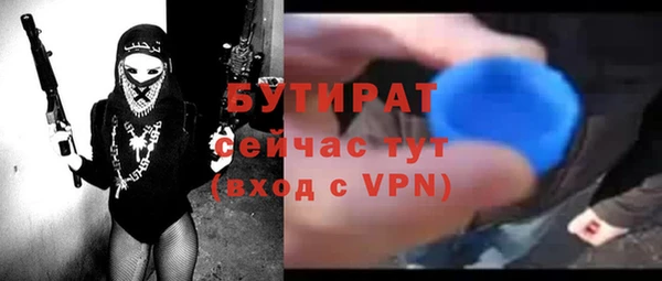 индика Алексин