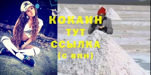индика Алексин