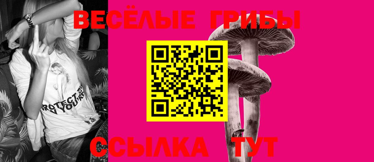 Псилоцибиновые грибы Psilocybine cubensis Гуково